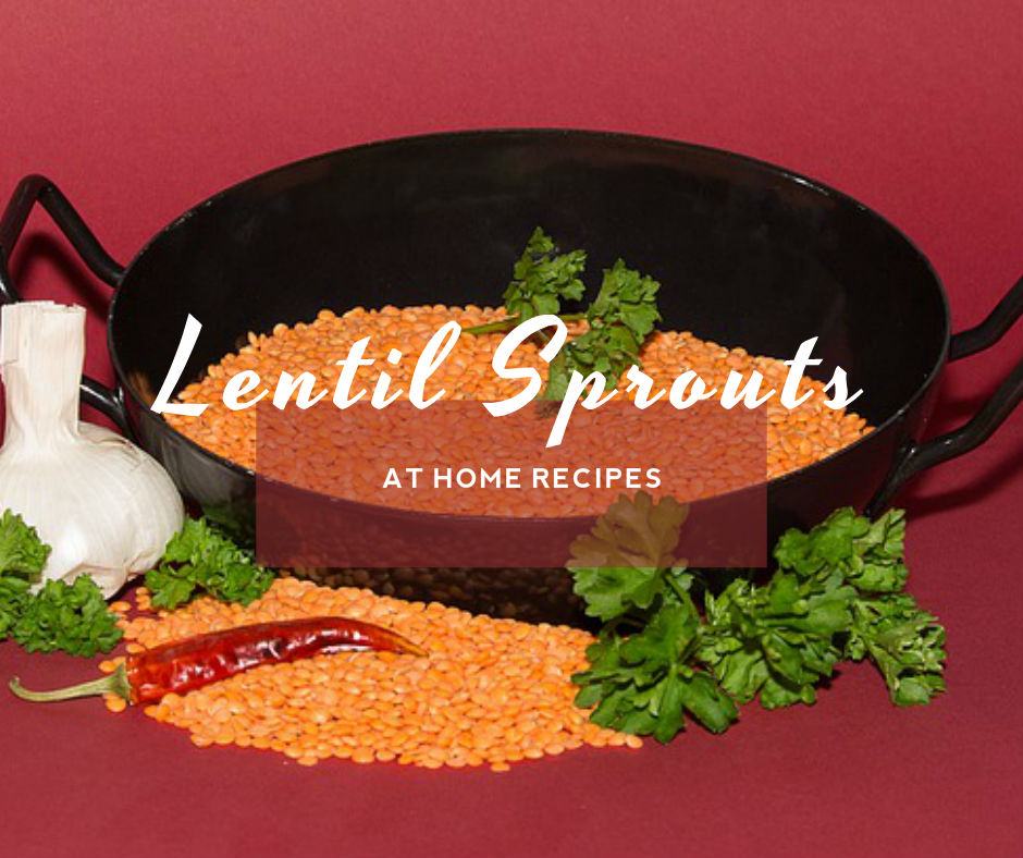 lentil sprout recipes