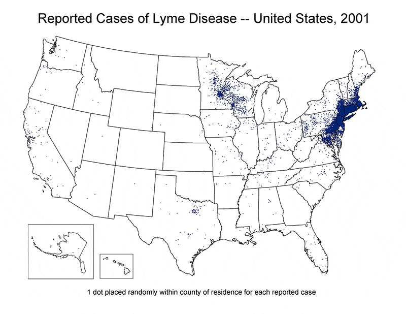 Reported Cases of Lyme Disease - United States 2001-present (Graphic by bestvalueschools.org)